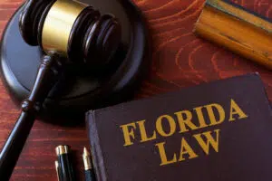 Florida Statutes Section 316.613 - Child Restraint Requirements