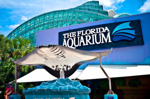 The Florida Aquarium in Tampa, FL